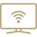 Icon TV mit Amazon Receiver